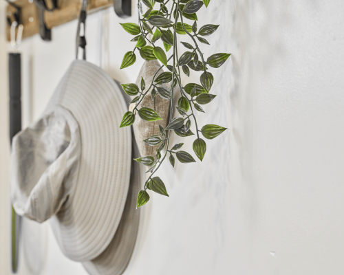 hat and vines